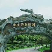 湘丰茶博园AR智慧旅游