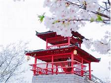 浔龙河生态艺术园AR智慧旅游