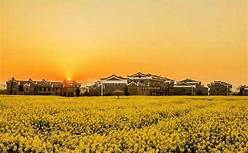 郴州市安仁稻田公园AR智慧旅游