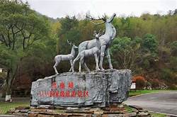 长沙黑麋峰国家森林公园AR智慧旅游