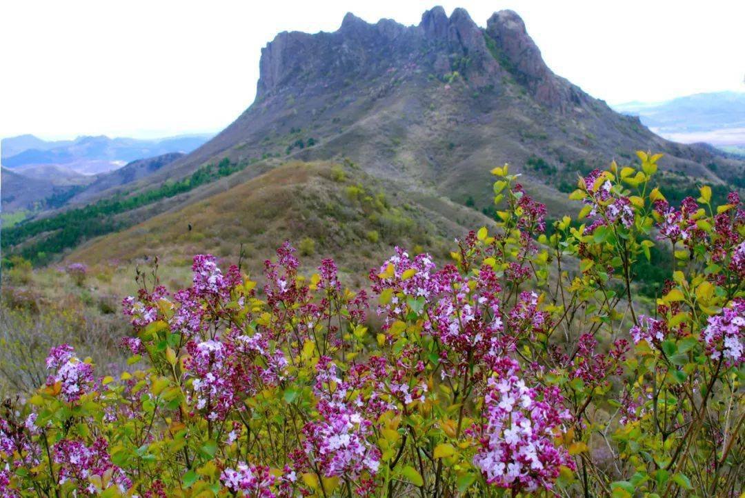 阜新蒙古族自治县毛岭沟风景区AR智慧旅游