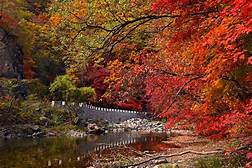 蒲石河森林公园景区AR智慧旅游