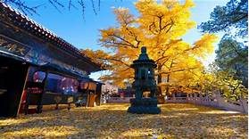 红螺寺AR智慧旅游