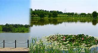北京顺义汉石桥湿地景区AR智慧旅游