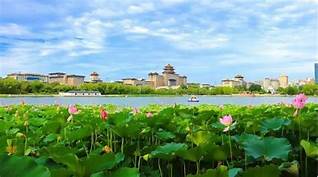 莲花池公园AR智慧旅游