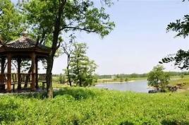 连云港市青松岭森林公园AR智慧旅游