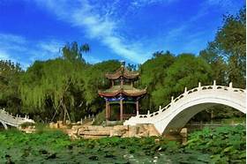 西沽公园
