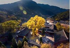 滦州市青龙山景区?AR智慧旅游