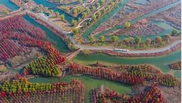 宿迁泗洪县洪泽湖湿地温泉度假村AR智慧旅游