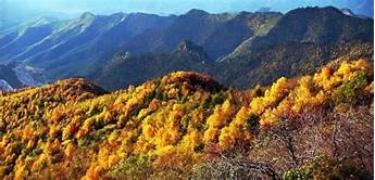 承德市滦平县白草洼森林公园景区AR智慧旅游