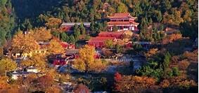 遵化市禅林寺古银杏风景园AR智慧旅游