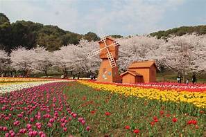 苏州市上方山国家森林公园AR智慧旅游
