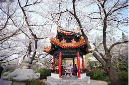 徐州市彭祖园景区AR智慧旅游