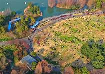 常州市青枫公园AR智慧旅游