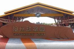 沧州动物园AR智慧旅游