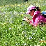 雪岭鹰谷AR智慧旅游