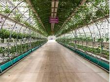 新疆华联现代农业科技示范园AR智慧旅游
