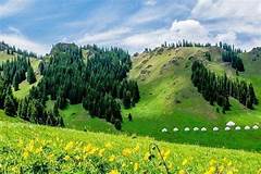 西白杨沟南山牧场AR智慧旅游