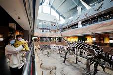 昌吉恐龙馆AR智慧旅游