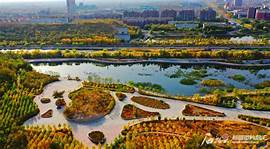白杨河湿地生态人文景区AR智慧旅游