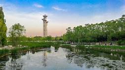 奥布森生态林场AR智慧旅游