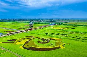宁夏稻渔空间生态观光园AR智慧旅游