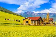 门源百里油菜花海景区AR智慧旅游