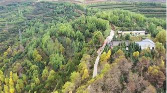 定西市岷县二郎山森林公园景区AR智慧旅游