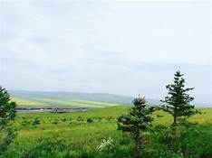 根河源国家湿地公团AR智慧旅游