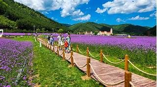 合水县子午花溪谷旅游景区AR智慧旅游