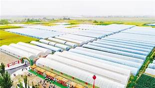 肃州区龙德盛生态农业博览园AR智慧旅游