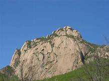 莲花山森林公园