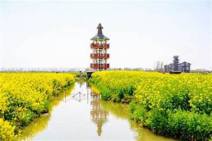 万亩油菜花景区AR智慧旅游