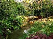 西双版纳南药园景区AR智慧旅游