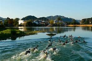 砚山县中澳生态园景区AR智慧旅游