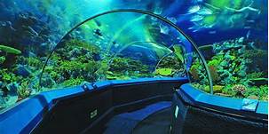 上海海洋水族馆AR智慧旅游