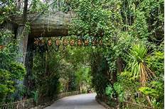 西双版纳原始森林公园景区AR智慧旅游