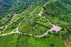 普洱市中华普洱茶博览苑景区AR智慧旅游