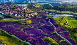 腾冲原乡栖花岭景区AR智慧旅游