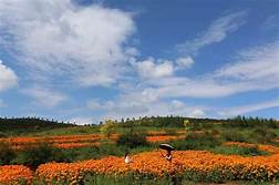 富源县多乐原景区AR智慧旅游
