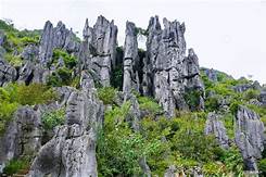 黔西南州兴义泥凼石林景区AR智慧旅游