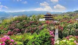 毕节市百里杜鹃景区AR智慧旅游