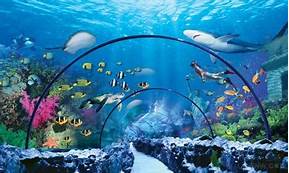 宁波海洋世界AR智慧旅游