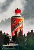 遵义市仁怀茅台酒镇旅游区AR智慧旅游