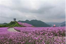 遵义市桐梓杉坪旅游景区AR智慧旅游