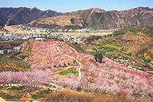 中咱桃花谷景区AR智慧旅游