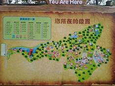 成都松鼠部落森林假日公园AR智慧旅游