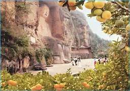 佛山橘海.橘乐田园景区AR智慧旅游