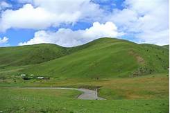 金马草原旅游区AR智慧旅游