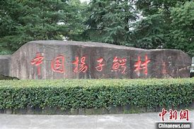 中国扬子鳄村AR智慧旅游